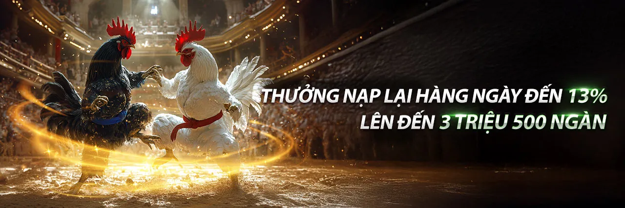 Sân vận động bóng đá với khán giả hò reo và ánh đèn rực rỡ, biểu tượng cho cá cược thể thao sôi động tại nohu 09